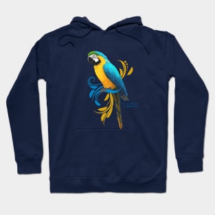 Blue and Gold Macaw Hoodie